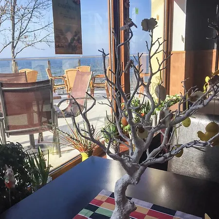 Dw California לינה וארוחת בוקר 4*